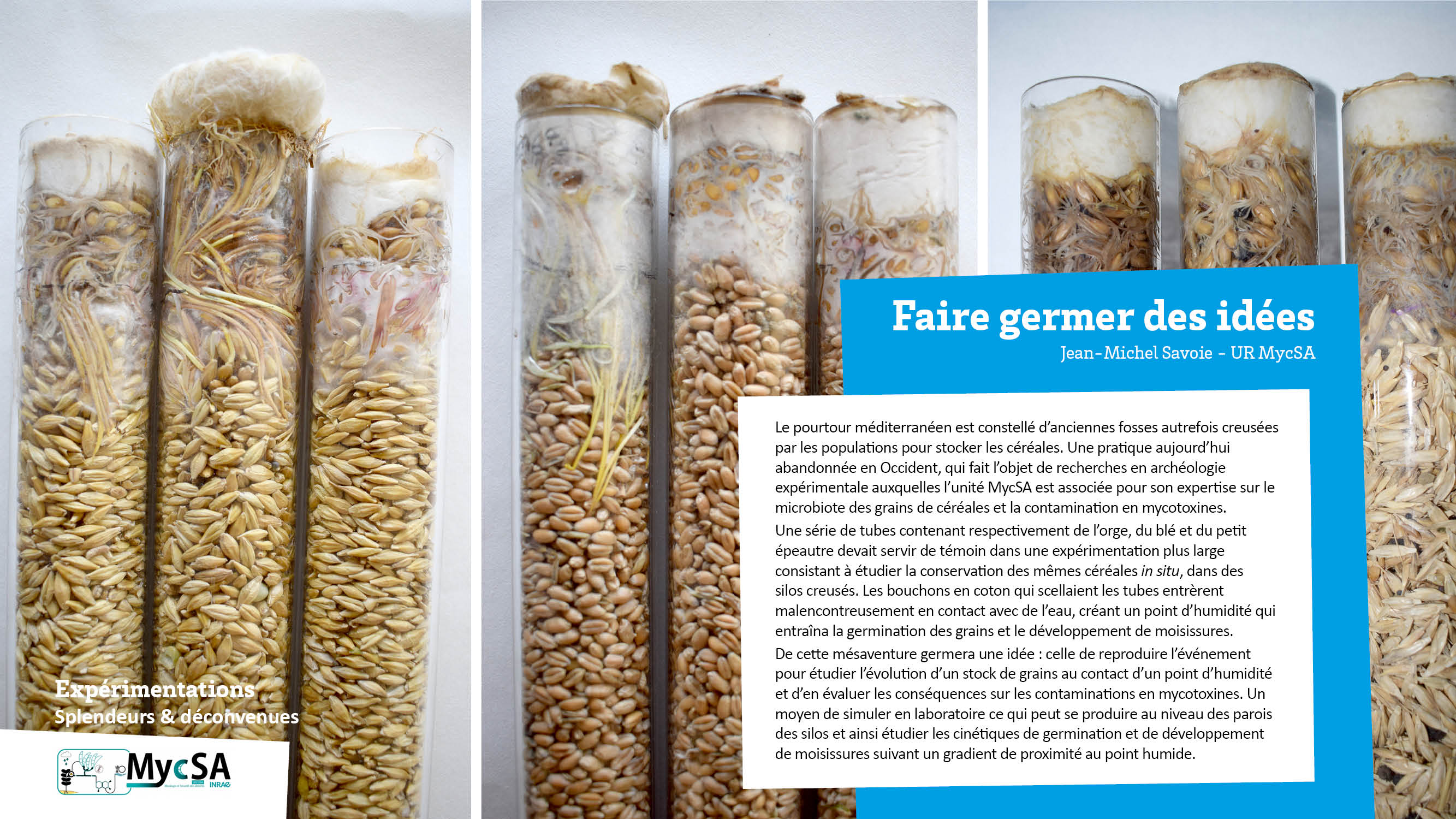 Expérimentations - Splendeurs et déconvenues3.png