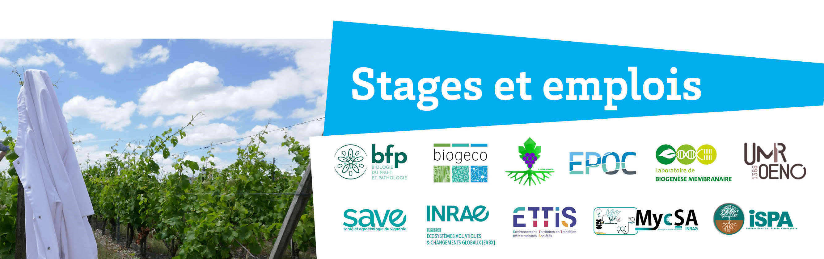 Stages et emplois_long.jpg