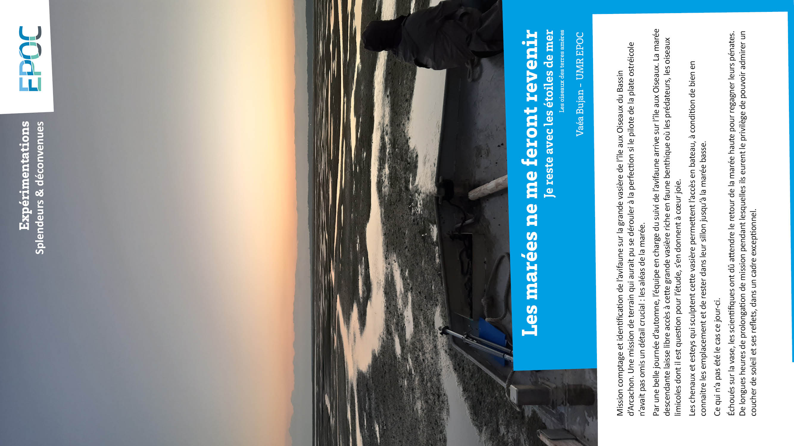 Expérimentation Splendeurs et deconvenues17.jpg