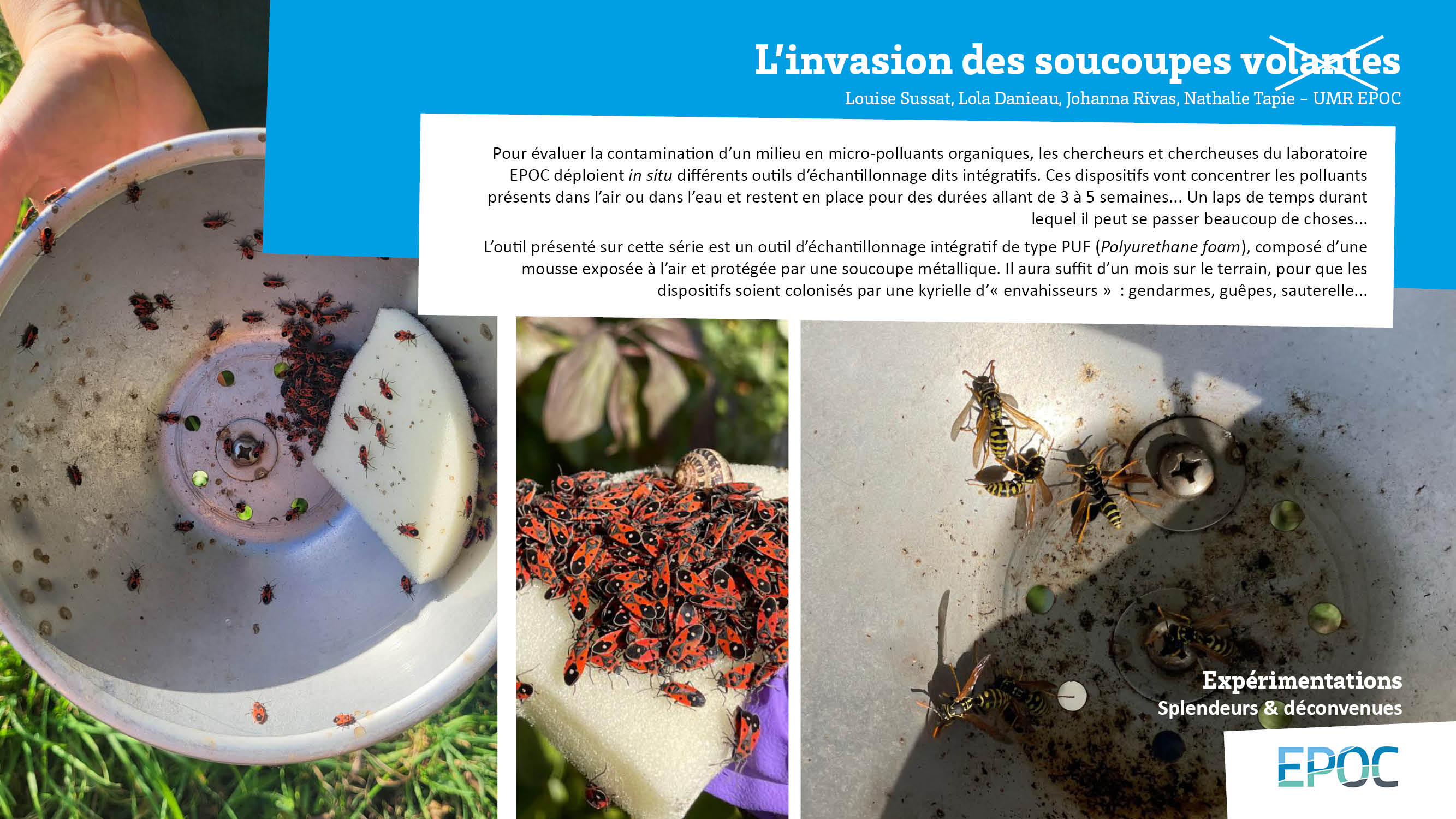 Expérimentation Splendeurs et deconvenues7.jpg