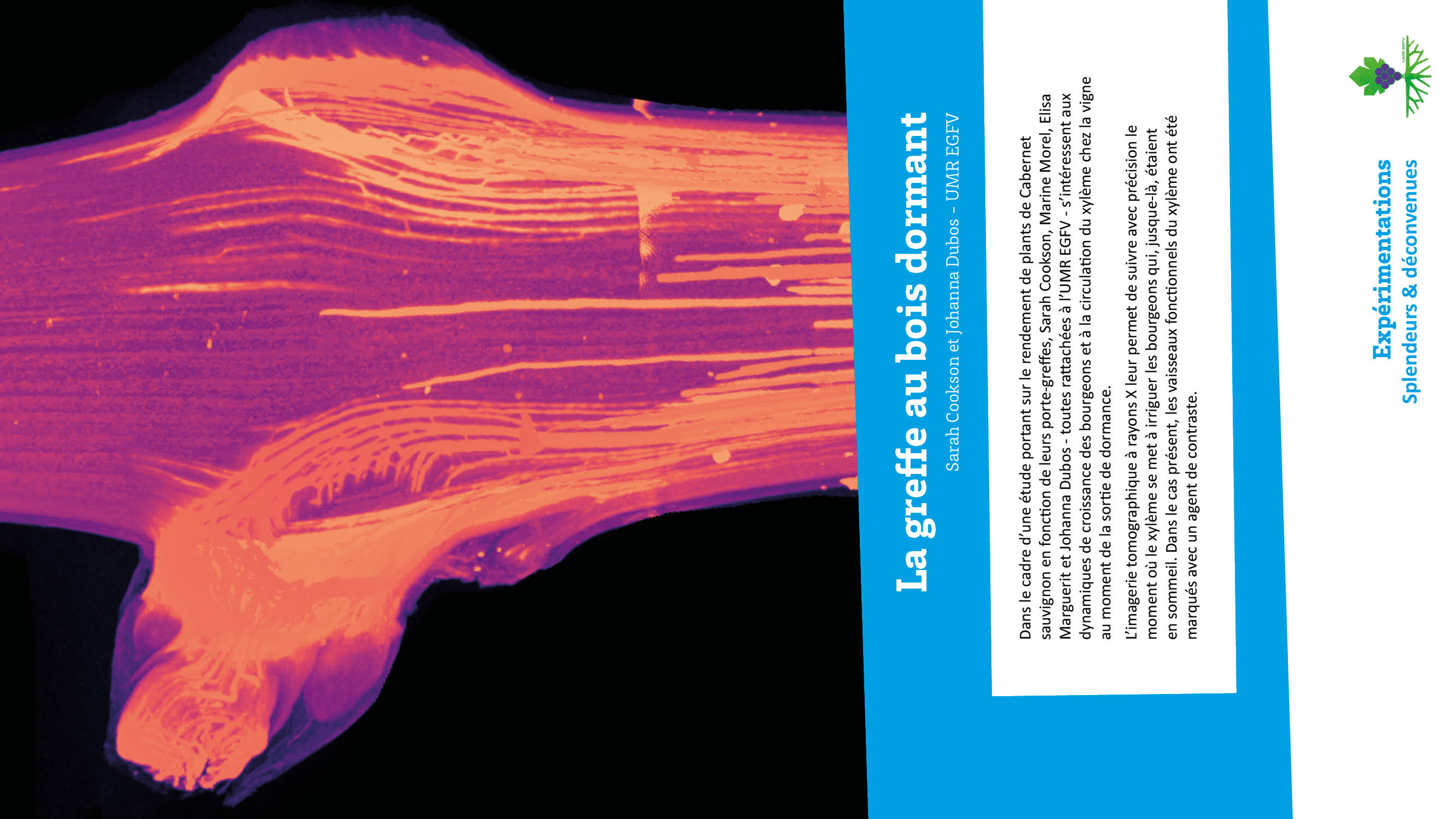 Expérimentation Splendeurs et deconvenues16.jpg