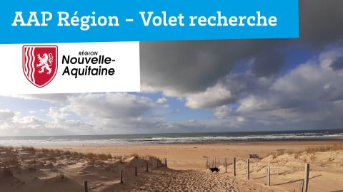 Texte alternatif de l'image