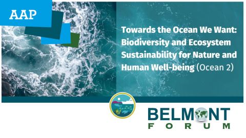 Texte alternatif de l'image