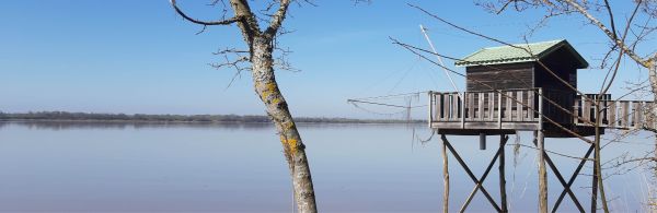 Les Sciences de l'environnement à l'université de Bordeaux