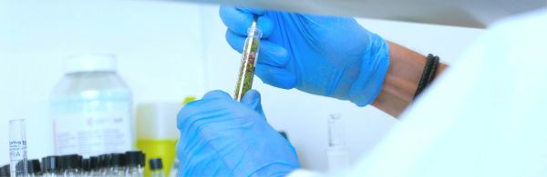 Les unités du département