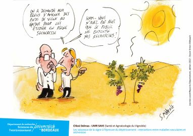 Caricature des travaux sur les effets de la sécheresse sur la vigne effectuée à l'occasion de l'édition 2022 de la Journée Scientifique du Département  © Simon Mitteault/UB