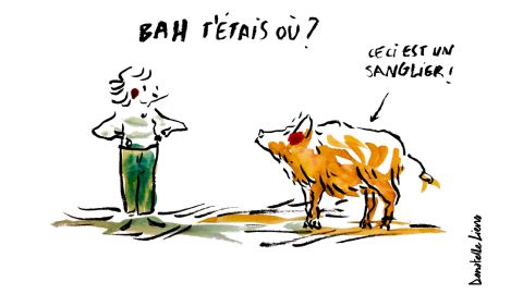 Quid des sangliers ? © Donatelle Liens/université de Bordeaux