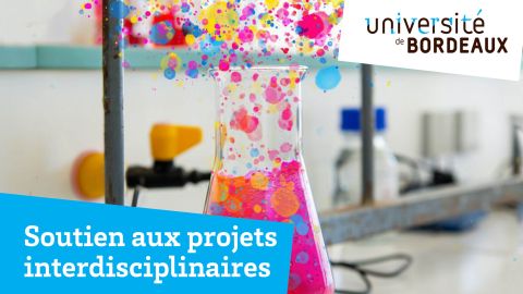 Soutien aux projets interdisciplinaires