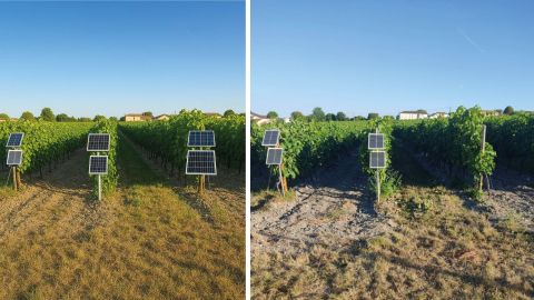 La part des anges © Emilie Bruez/UMR ŒNO