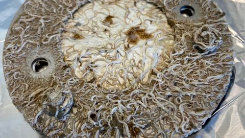 Le huitième passage © Louise Sussat, Lola Danieau, Johanna Rivas, Nathalie Tapie/UMR EPOC