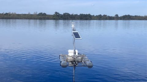 Léon Bloom, pastiche landais © Aurélien Jamoneau/UR EABX