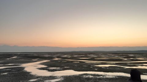 Les marées ne me feront revenir © Vaéa Bujan/UMR EPOC