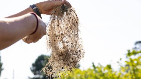 Texte alternatif de l'image