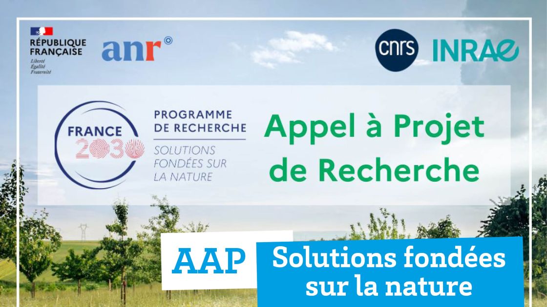AAP - Solutions fondées sur la nature :: Département Sciences environnement