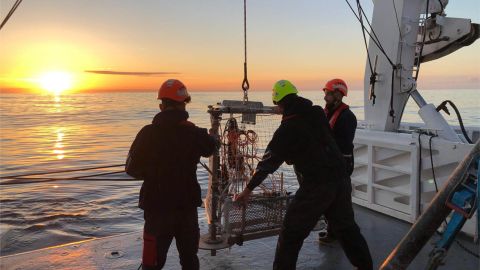 Vase communicante © Bruno Deflandre/UMR EPOC