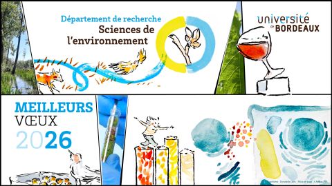 Les vœux du Département pour 2026